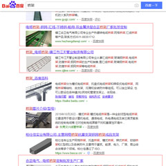 阳江客户网站排名优化案例